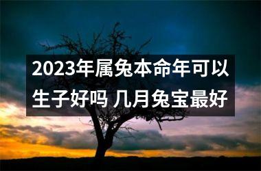 2025年属兔本命年可以生子好吗 几月兔宝好