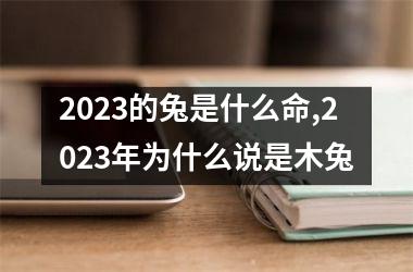 2025的兔是什么命,2025年为什么说是木兔