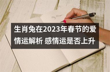 生肖兔在2025年春节的爱情运解析 感情运是否上升