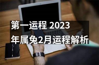 <h3>第一运程 2025年属兔2月运程解析