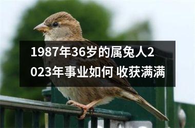 <h3>1987年36岁的属兔人2025年事业如何 收获满满