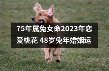 75年属兔女命2023年恋爱桃花 48岁兔年婚姻运