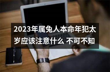 <h3>2025年属兔人本命年犯太岁应该注意什么 不可不知