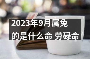 2025年9月属兔的是什么命 劳碌命