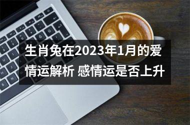 <h3>生肖兔在2025年1月的爱情运解析 感情运是否上升