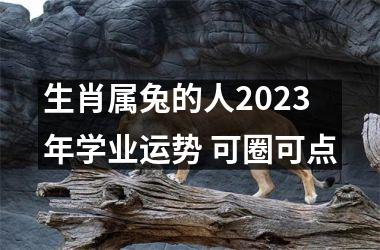 生肖属兔的人2025年学业运势 可圈可点