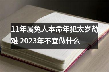 11年属兔人本命年犯太岁劫难 2025年不宜做什么