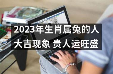 2025年生肖属兔的人大吉现象 贵人运旺盛