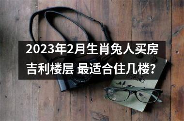 2025年2月生肖兔人买房吉利楼层 适合住几楼？