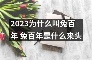 <h3>2025为什么叫兔百年 兔百年是什么来头