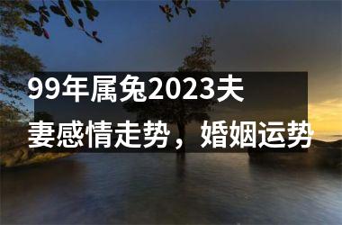 <h3>99年属兔2025夫妻感情走势，婚姻运势