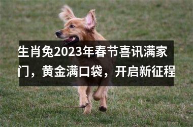 生肖兔2025年春节喜讯满家门，黄金满口袋，开启新征程