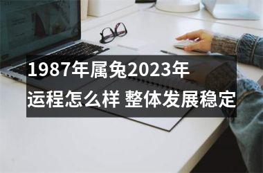 <h3>1987年属兔2025年运程怎么样 整体发展稳定