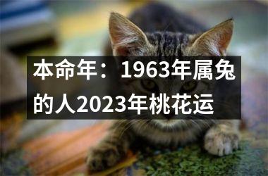 <h3>本命年：1963年属兔的人2025年桃花运