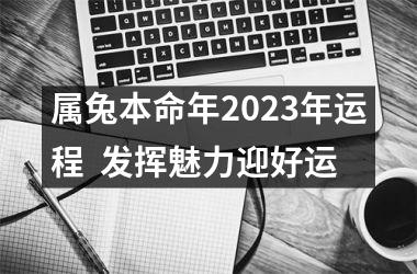 <h3>属兔本命年2025年运程  发挥魅力迎好运