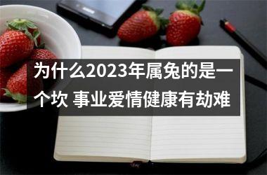 <h3>为什么2025年属兔的是一个坎 事业爱情健康有劫难