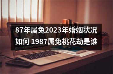 87年属兔2025年婚姻状况如何 1987属兔桃花劫是谁