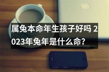 <h3>属兔本命年生孩子好吗 2025年兔年是什么命？