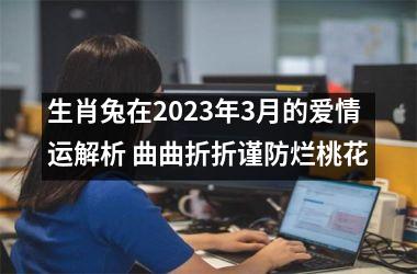 <h3>生肖兔在2025年3月的爱情运解析 曲曲折折谨防烂桃花