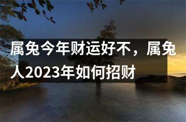 属兔今年财运好不，属兔人2025年如何招财