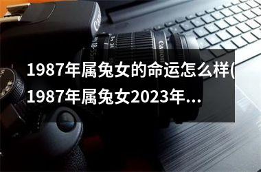 1987年属兔女的命运怎么样(1987年属兔女2025年运势及运程每月运程)