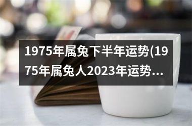 1975年属兔下半年运势(1975年属兔人2025年运势及运程)