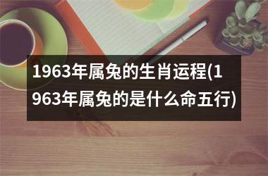 1963年属兔的生肖运程(1963年属兔的是什么命五行)