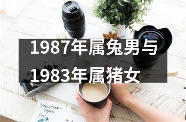 <h3>1987年属兔男与1983年属猪女