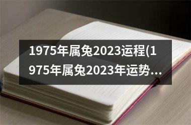 1975年属兔2023运程(1975年属兔2023年运势及运程每月运程)
