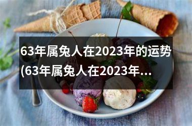 63年属兔人在2025年的运势(63年属兔人在2025年全年运势如何)