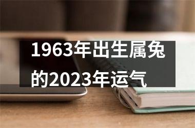 1963年出生属兔的2025年运气