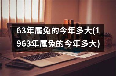 63年属兔的今年多大(1963年属兔的今年多大)