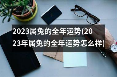 2025属兔的全年运势(2025年属兔的全年运势怎么样)