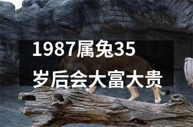 1987属兔35岁后会大富大贵