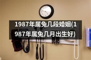 1987年属兔几段婚姻(1987年属兔几月出生好)