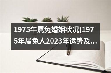 1975年属兔婚姻状况(1975年属兔人2025年运势及运程)