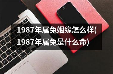 1987年属兔姻缘怎么样(1987年属兔是什么命)