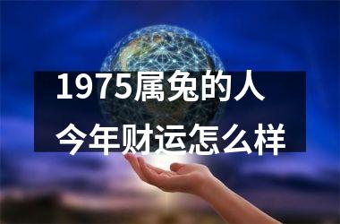 1975属兔的人今年财运怎么样