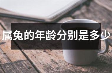 属兔的年龄分别是多少