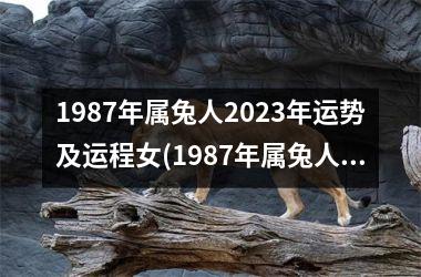 1987年属兔人2025年运势及运程女(1987年属兔人2025年运势及运程每月运程)