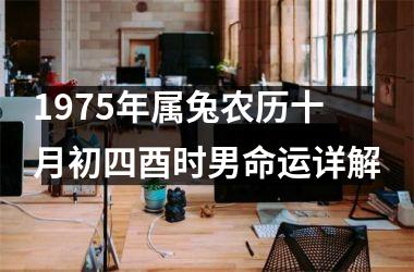 1975年属兔农历十月初四酉时男命运详解