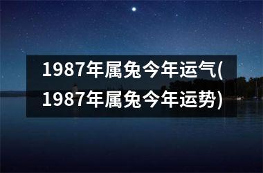 1987年属兔今年运气(1987年属兔今年运势)