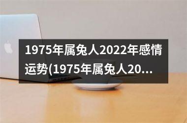 1975年属兔人2025年感情运势(1975年属兔人2025年运势及运程)