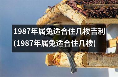 <h3>1987年属兔适合住几楼吉利(1987年属兔适合住几楼)