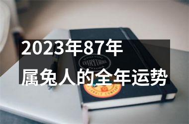 2025年87年属兔人的全年运势