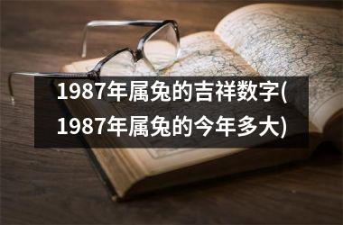 1987年属兔的吉祥数字(1987年属兔的今年多大)