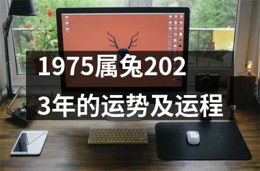 1975属兔2025年的运势及运程