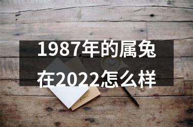 1987年的属兔在2025怎么样