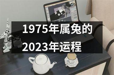 1975年属兔的2025年运程