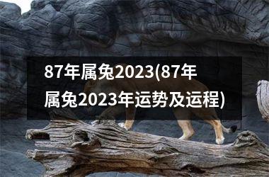 87年属兔2025(87年属兔2025年运势及运程)